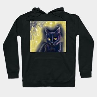 black cat night Hoodie